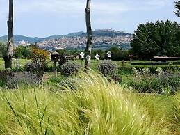 Il Fienile di Assisi