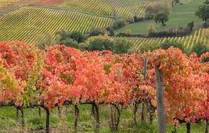 Il Fienile di Assisi