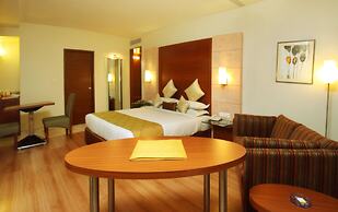 The Horizon Comforts