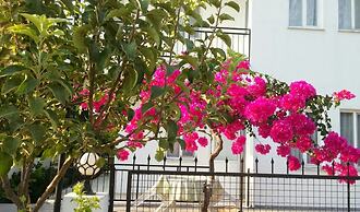 Tavilogullari Villa Apart