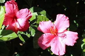 Retreat Finca Son Manera