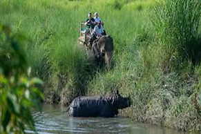 Tiger Residency Resort