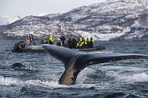 Hotell Maritim Skjervøy