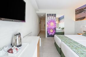 FERGUS Cactus Garden