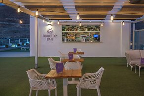 FERGUS Cactus Garden