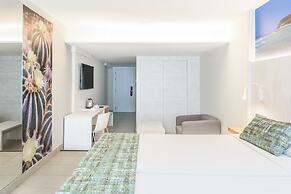 FERGUS Cactus Garden