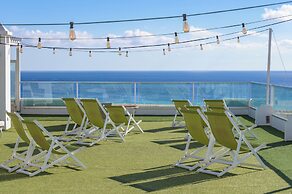 FERGUS Cactus Garden