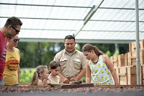 Copal Tree Lodge, a Muy'Ono Resort