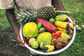 Copal Tree Lodge, a Muy'Ono Resort