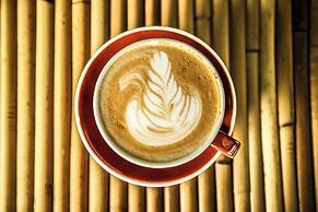 Copal Tree Lodge, a Muy'Ono Resort