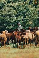 Copal Tree Lodge, a Muy'Ono Resort
