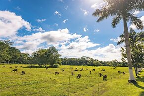 Copal Tree Lodge, a Muy'Ono Resort