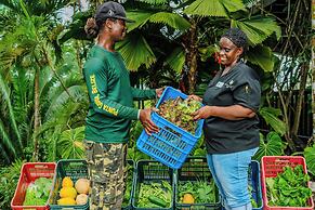 Copal Tree Lodge, a Muy'Ono Resort
