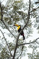 Copal Tree Lodge, a Muy'Ono Resort