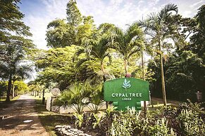 Copal Tree Lodge, a Muy'Ono Resort