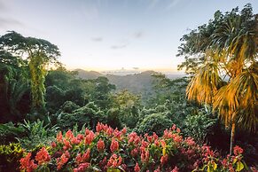 Copal Tree Lodge, a Muy'Ono Resort