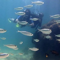 Pousada Velas e Vento - Acesso fácil a Barra Grande