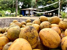 Pousada Velas e Vento - Acesso fácil a Barra Grande