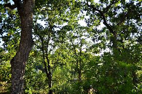 B&B Lamie di Olimpia