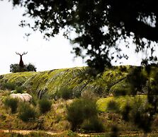 Herdade da Rocha Boutique Lodge