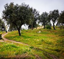 Herdade da Rocha Boutique Lodge