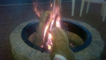 Beagle's Bed & Breakfast