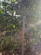 Ecoasis Wellness Sanctuary