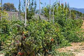 White Pearls Luxury Suites - Adults Only