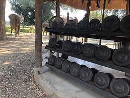 Track and Trail River Camp