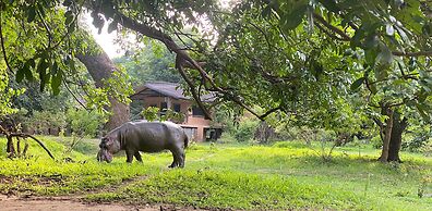 Track and Trail River Camp