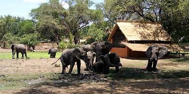 Track and Trail River Camp