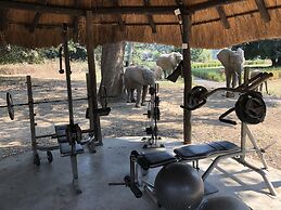 Track and Trail River Camp