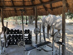 Track and Trail River Camp