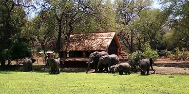 Track and Trail River Camp