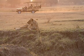 Track and Trail River Camp