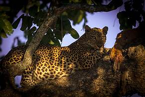 Track and Trail River Camp