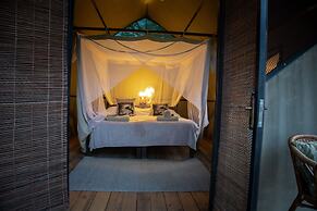 Track and Trail River Camp