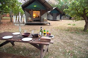 Track and Trail River Camp