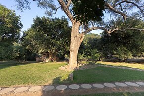 Track and Trail River Camp