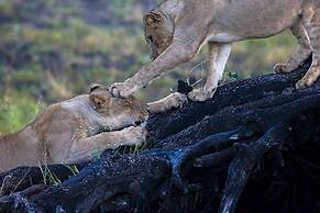 Track and Trail River Camp