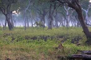 Track and Trail River Camp