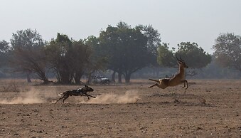 Track and Trail River Camp