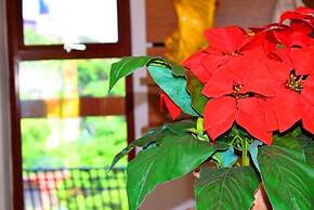 Hotel Moinho de Pedra