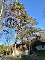 Betsie Riverside Resort