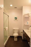 Hampton Inn Buffalo-Hamburg