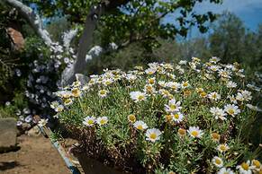 Traditional Cretan Family Home