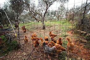 Traditional Cretan Family Home