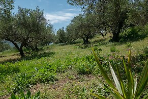 Traditional Cretan Family Home