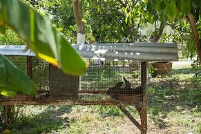 Traditional Elegant Cretan Mansion
