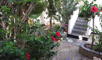 Alternative Space B & B